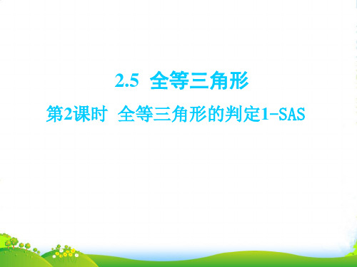 湘教版八年级数学上册《全等三角形的判定1—SAS》课件