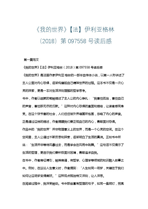 《我的世界》【法】伊利亚格林 读后感