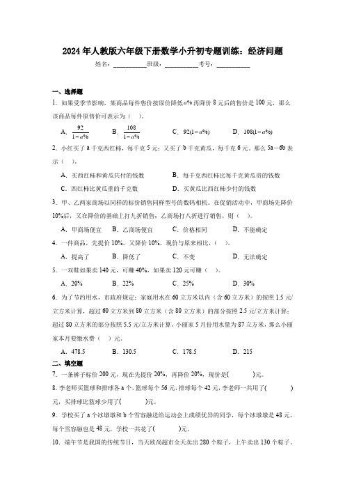 2024年人教版六年级下册数学小升初专题训练：经济问题