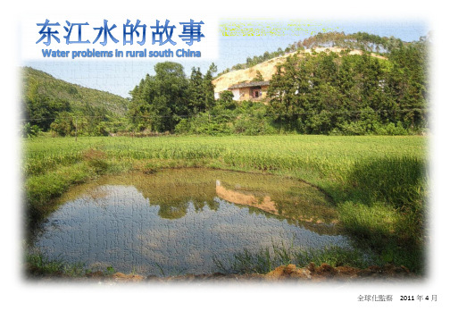 东江水的故事