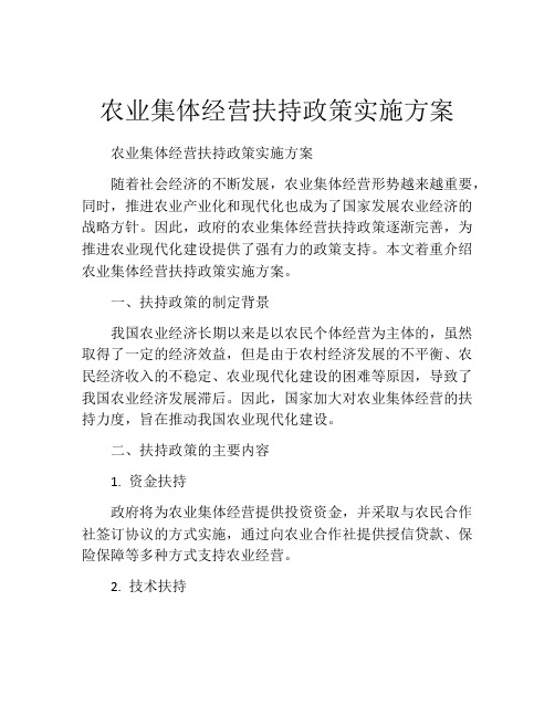 农业集体经营扶持政策实施方案