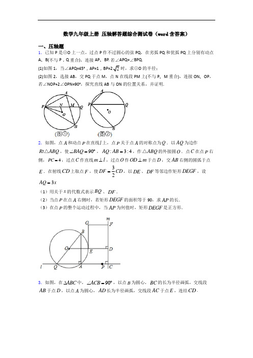 数学九年级上册 压轴解答题综合测试卷(word含答案)