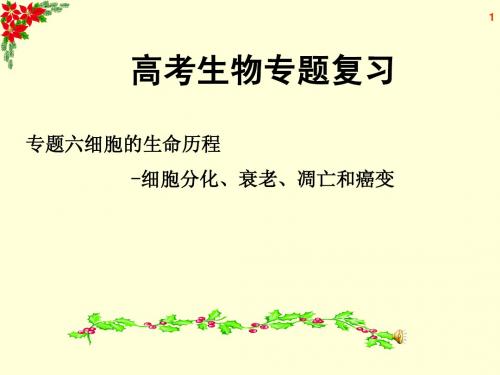 高考生物专题复习 专题6 细胞的生命历程-细胞分化、衰老、凋亡和癌变