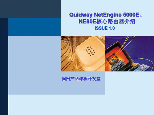 NetEngine_5000E、NE80E核心路由器介绍