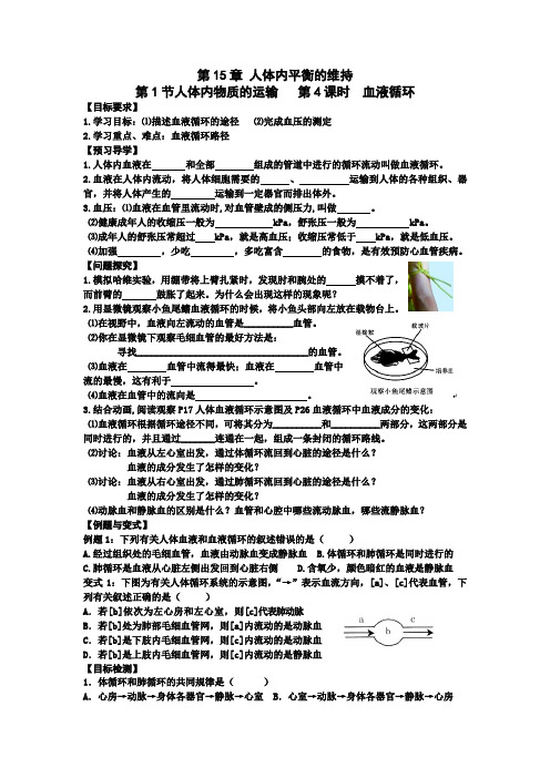 苏科版八上生物导学案设计第15章 人体内平衡的维持第1节人体内物质的运输第4课时血液循环  (无答案