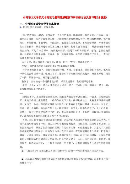 中考语文文学类文本阅读专题训练解题技巧和训练方法及练习题(含答案)