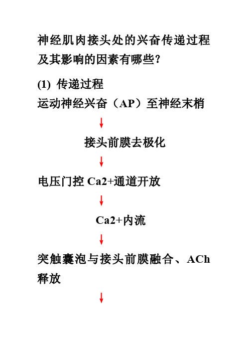 神经肌肉接头处的兴奋传递过程及其影响的因素