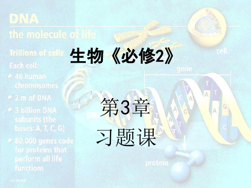 高一生物基因的本质
