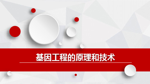 高中生物基因工程的原理和技术精品PPT课件