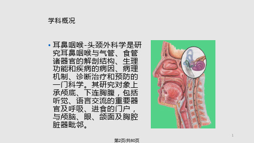 鼻解剖及生理.pptx