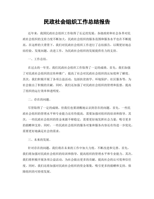 民政社会组织工作总结报告