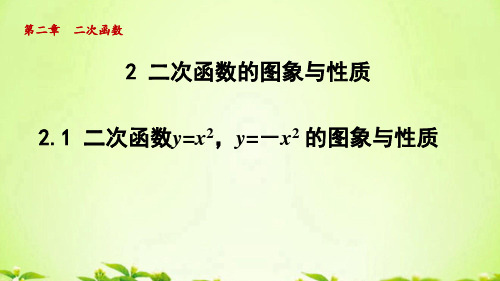 北师版九年级数学下册_2.2.1二次函数y=x2,y=-x2 的图象与性质