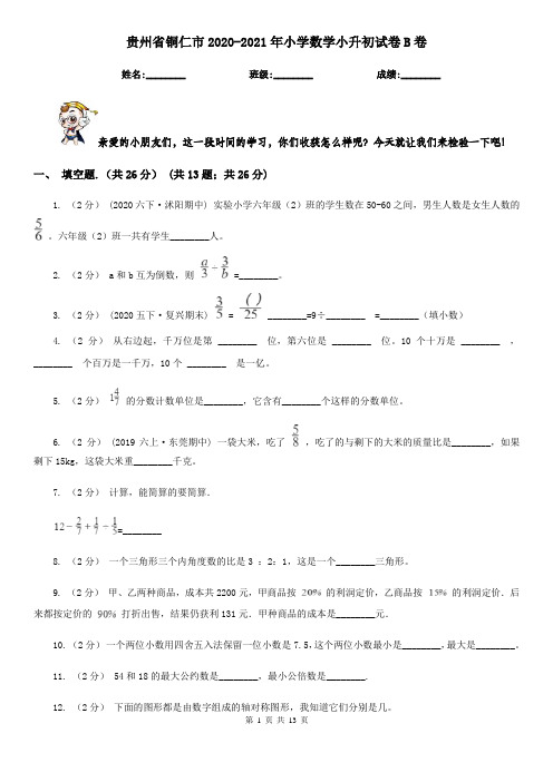 贵州省铜仁市2020-2021年小学数学小升初试卷B卷