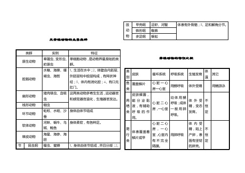 无脊椎动物的主要类群