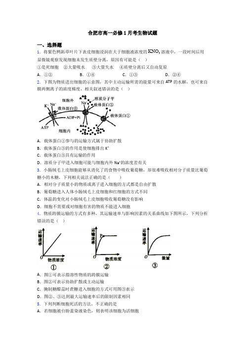 合肥市高一必修1月考生物试题