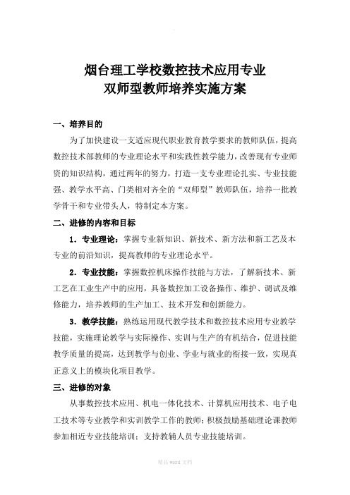 双师型教师培养实施方案