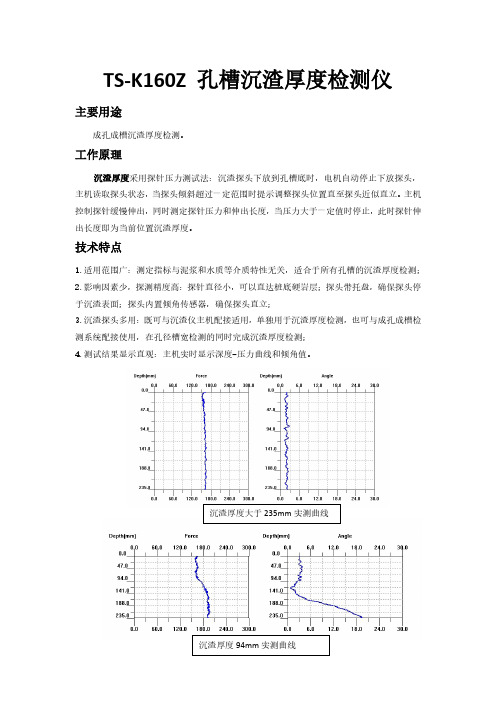 灌注桩孔底沉渣厚度检测仪TS-K100CZ(A)