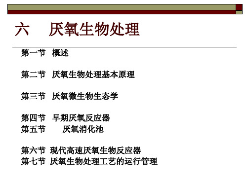 6厌氧生物处理 168页