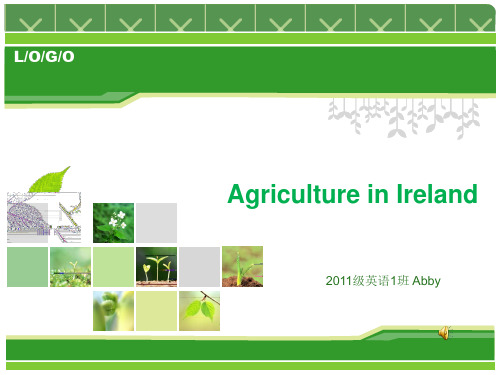 中国与爱尔兰农业比较英文PPT