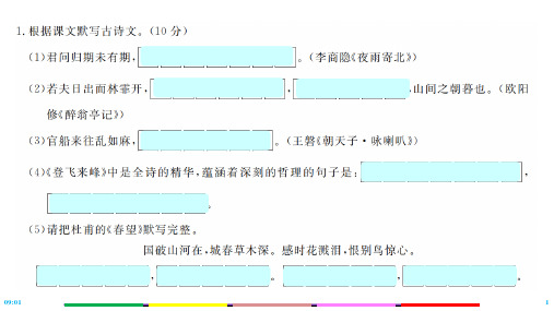 2019年广东中考语文模拟卷  (5)