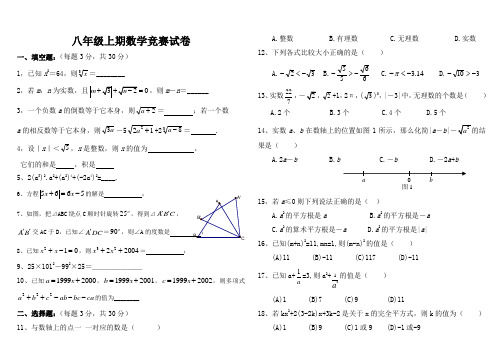 廖田镇中学八年级上期数学培优试题1