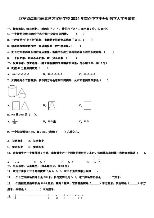 辽宁省沈阳市东北育才实验学校2024年重点中学小升初数学入学考试卷含解析