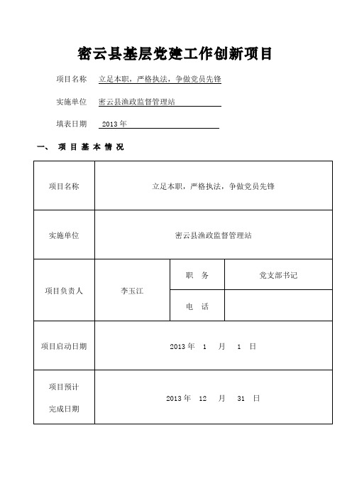 基层党建工作创新项目