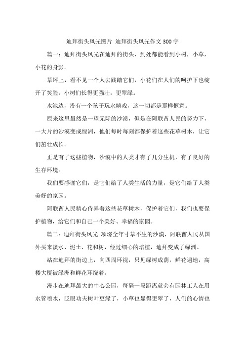 迪拜街头风光图片 迪拜街头风光作文300字