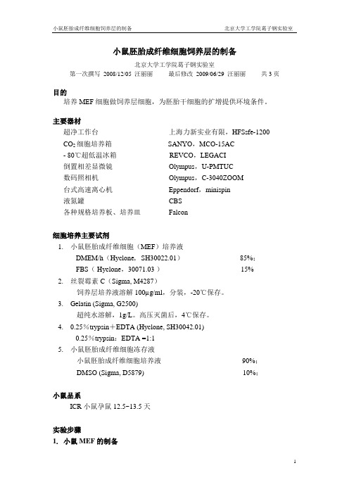 2.2.1 小鼠胚胎成纤维细胞饲养层的制备