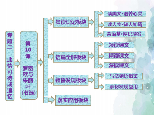 苏教版语文高二高中语文2.5《罗密欧与朱丽叶》课件 苏教版必修5