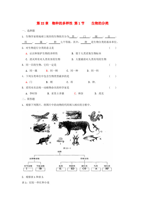 八年级生物下册 第22章 第1节 生物的分类课时训练 北师大版