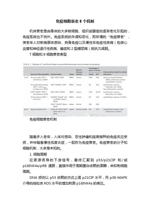 免疫细胞衰老8个机制