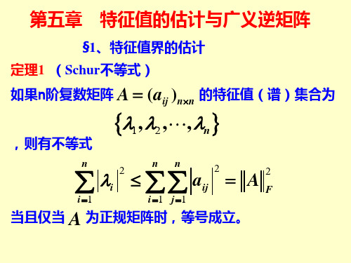 矩阵理论课件  第五章 特征值的估计与广义逆矩阵