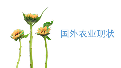 无人机植保技术：国外植保现状