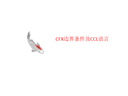 CFX边界条件及CCL语言-课件