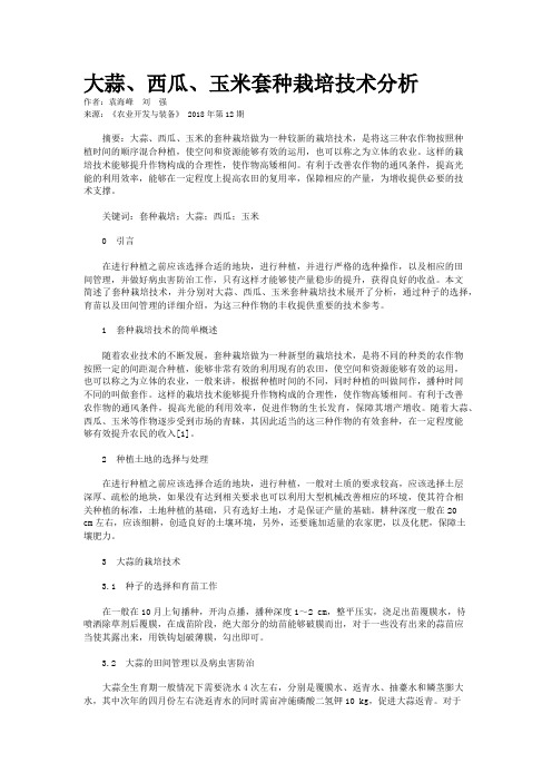 大蒜、西瓜、玉米套种栽培技术分析