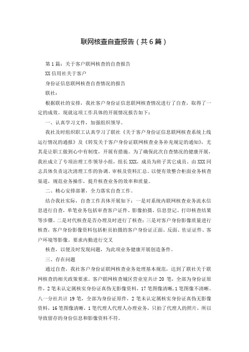 联网核查自查报告(共6篇)