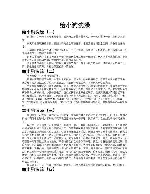 给小狗洗澡作文共九篇