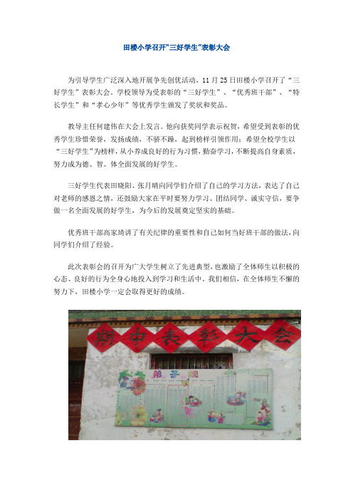 田楼小学召开