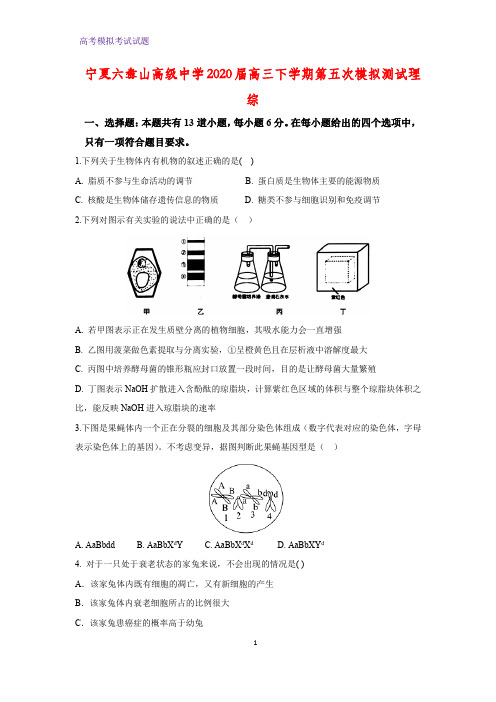 2020届宁夏六盘山高级中学高三下学期第五次模拟测试理综生物试题