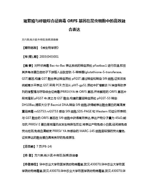 猪繁殖与呼吸综合征病毒ORF5基因在昆虫细胞中的高效融合表达