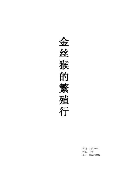 金丝猴的繁殖行为1