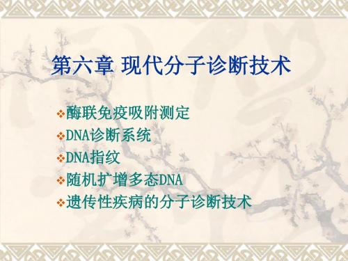 现代分子诊断技术