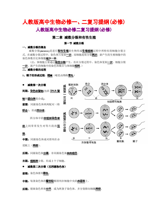 人教版高中生物必修一、二复习提纲(必修)