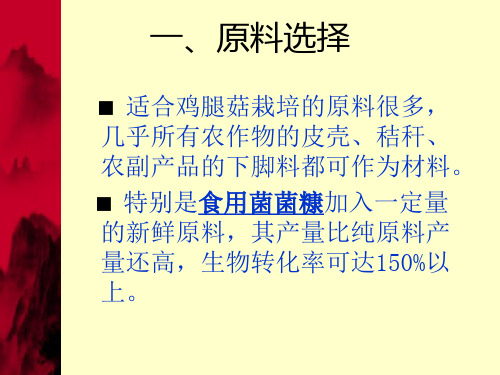 鸡腿菇高产栽培技术