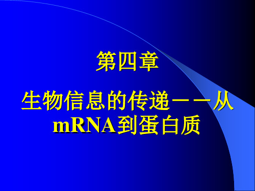 第一、二节生物信息的传递(下)从mRNA到蛋白质1