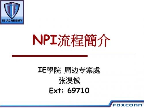 NPI流程简介(PPT38张)