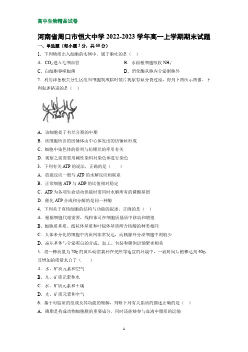 河南省周口市恒大中学2022-2023学年高一上学期期末生物试题(解析版)