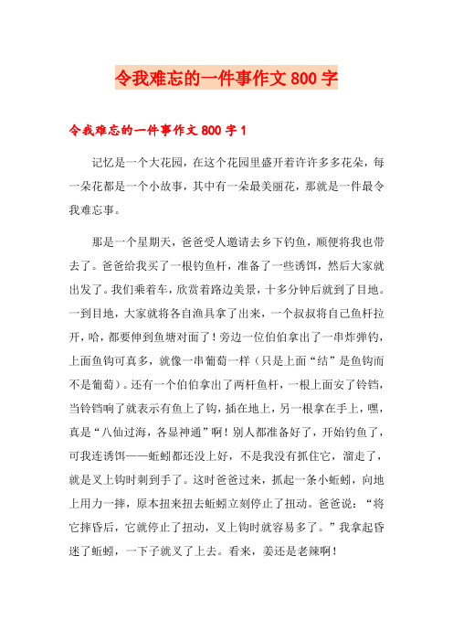 令我难忘的一件事作文800字