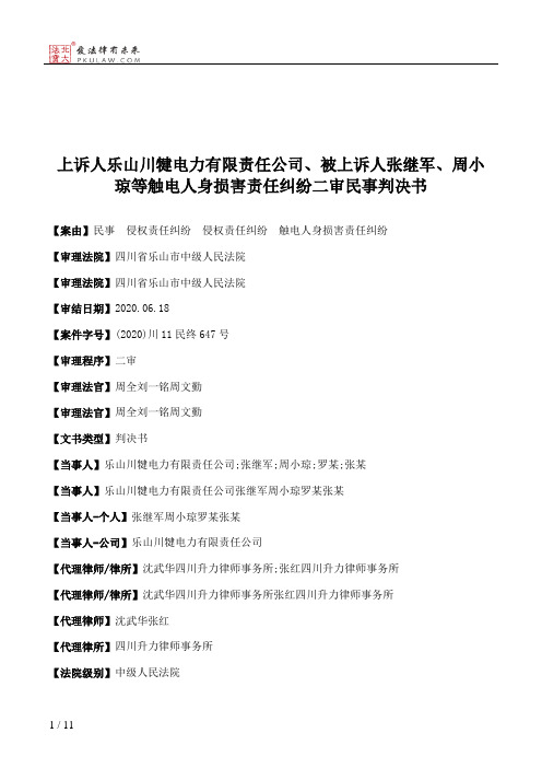 上诉人乐山川犍电力有限责任公司、被上诉人张继军、周小琼等触电人身损害责任纠纷二审民事判决书